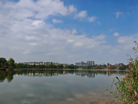 湖畔风光与城市建筑