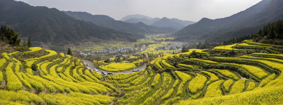 宽幅皖南山间梯田油菜花海风光