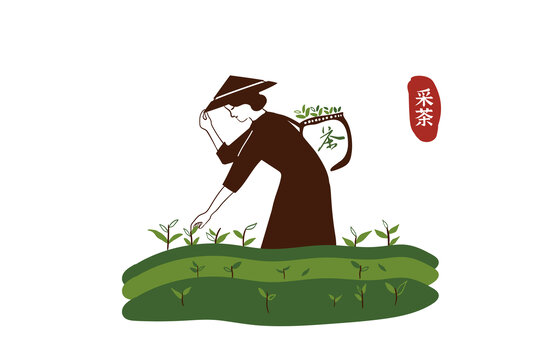 采茶女插画