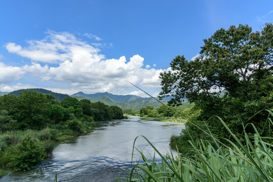 青山绿水间的宁静河流