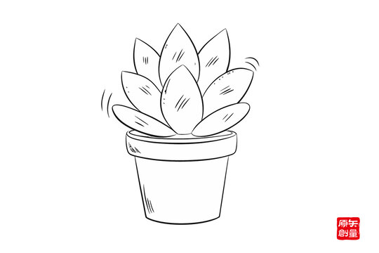手绘简约风多肉盆栽插画