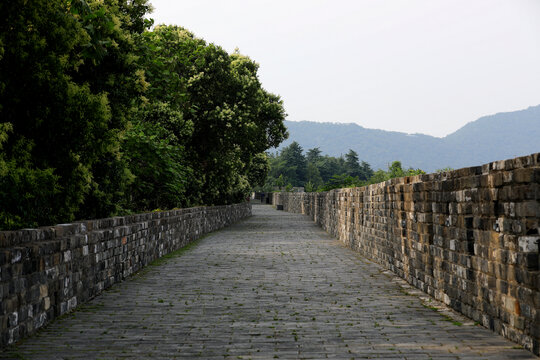 明代城墙上的林荫步道
