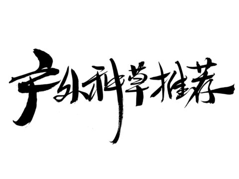 户外种草推荐书法字体
