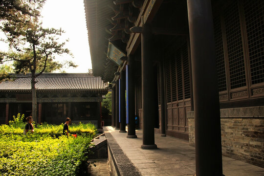 古建庭院中的静谧景致
