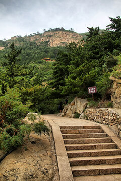 山间石阶旁绿意盎然景致