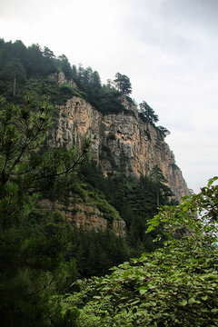峻峭山峦与葱郁植被景观