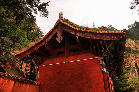 古建红墙映山林景致