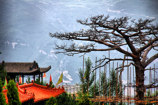 古亭苍松与远山之景