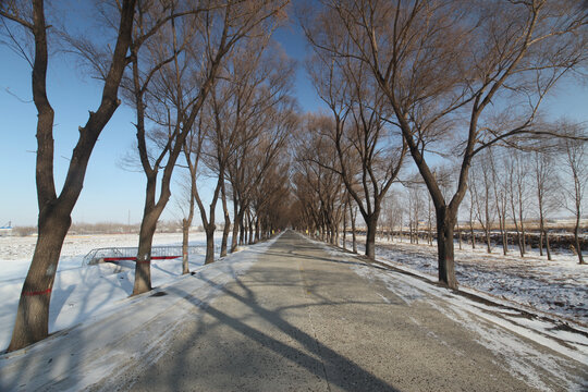 道路