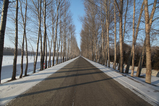 道路
