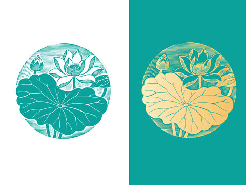 荷花剪影