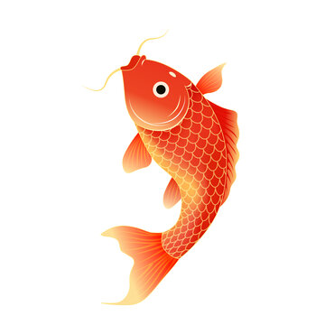 红色锦鲤插画