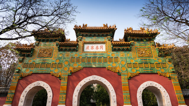 北京植物园风景风光