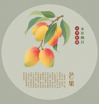 国风手绘芒果插画