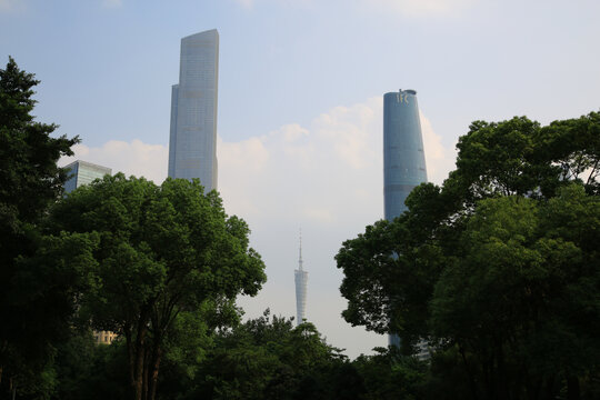 绿树掩映下的城市摩天大楼