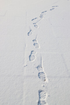 雪地上延伸的清晰脚印