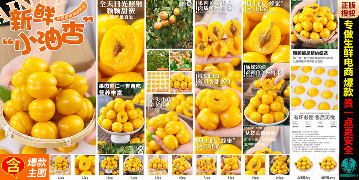 珍珠小白杏详情页