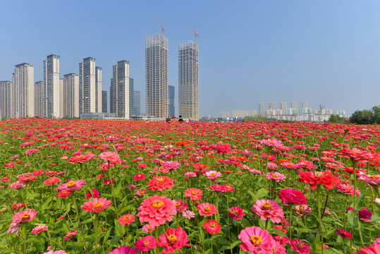 城市