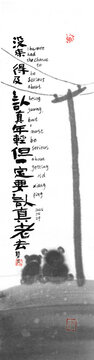 双猫依偎间的人生感悟