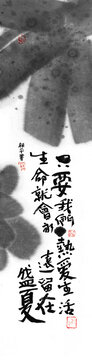 热爱生活