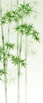 简约竹子屏风隔断背景