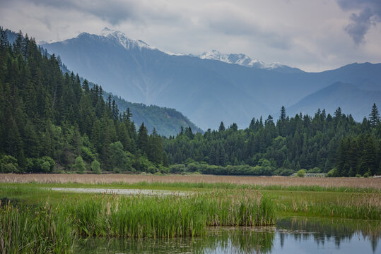 九寨沟甘海子风光