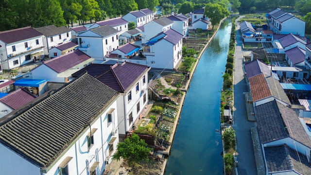 乡村振兴