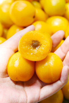 珍珠油杏