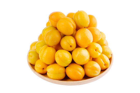 珍珠油杏