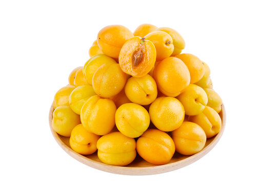 珍珠油杏