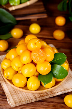 珍珠油杏