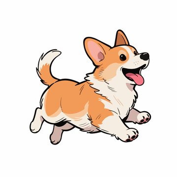 柯基犬