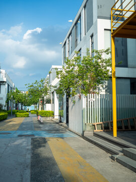 日式城市建筑和街道和蓝天白云绿植
