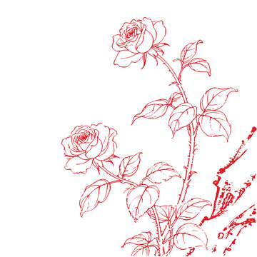 玫瑰花手绘线稿插画底纹包装设计矢量图