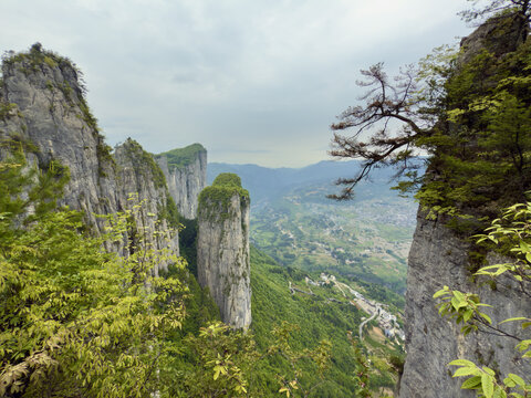 湖北恩施大峡谷迎客松景区
