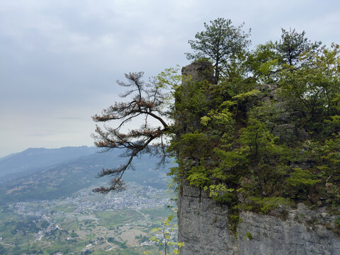 湖北恩施大峡谷迎客松景区