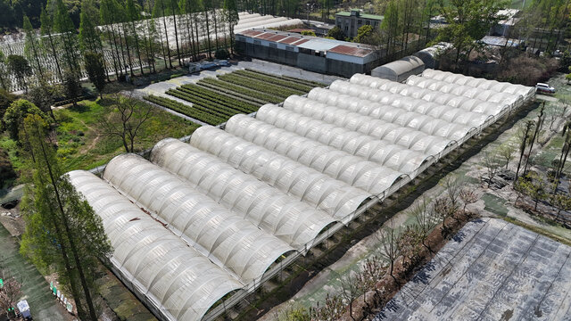 大棚农业种植基地俯瞰