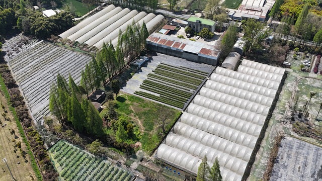 俯瞰现代农业大棚种植园