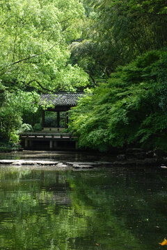 杭州植物园中式建筑中式楼阁