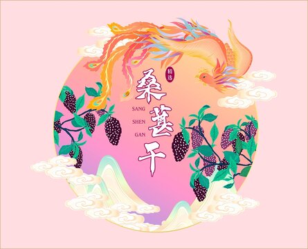 桑葚包装插画