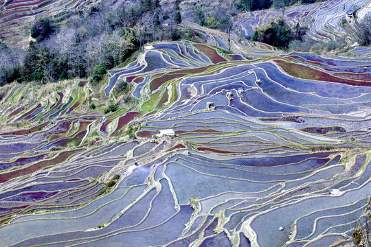云南元阳梯田