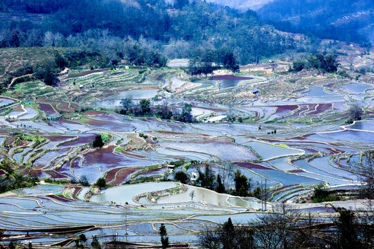 水田风光
