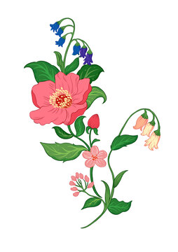 植物花草