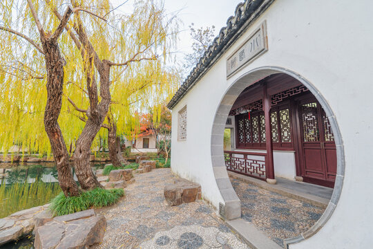 苏州园林可园庭院景观