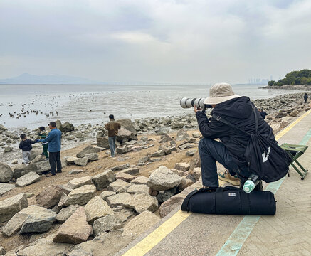 摄影师海边专注拍摄场景