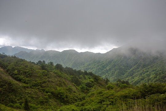 武功山高山草原