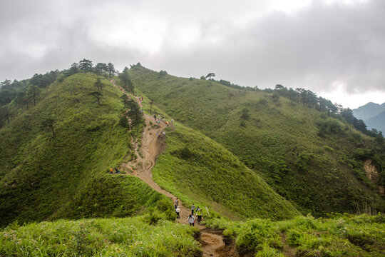 武功山高山草原