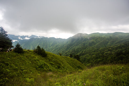 武功山高山草原