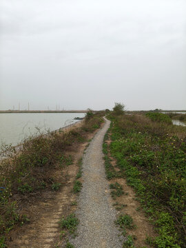 农村道路