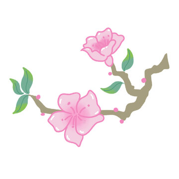 手绘粉色桃花枝插画